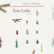 Die 1976 in Sevilla geborene Autorin Sara Mesa ist in Spanien eine vielbepreiste Autorin und ihr Roman „Eine Liebe“ wurde zu einem Bestseller.