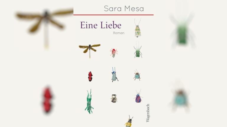 Die 1976 in Sevilla geborene Autorin Sara Mesa ist in Spanien eine vielbepreiste Autorin und ihr Roman „Eine Liebe“ wurde zu einem Bestseller.