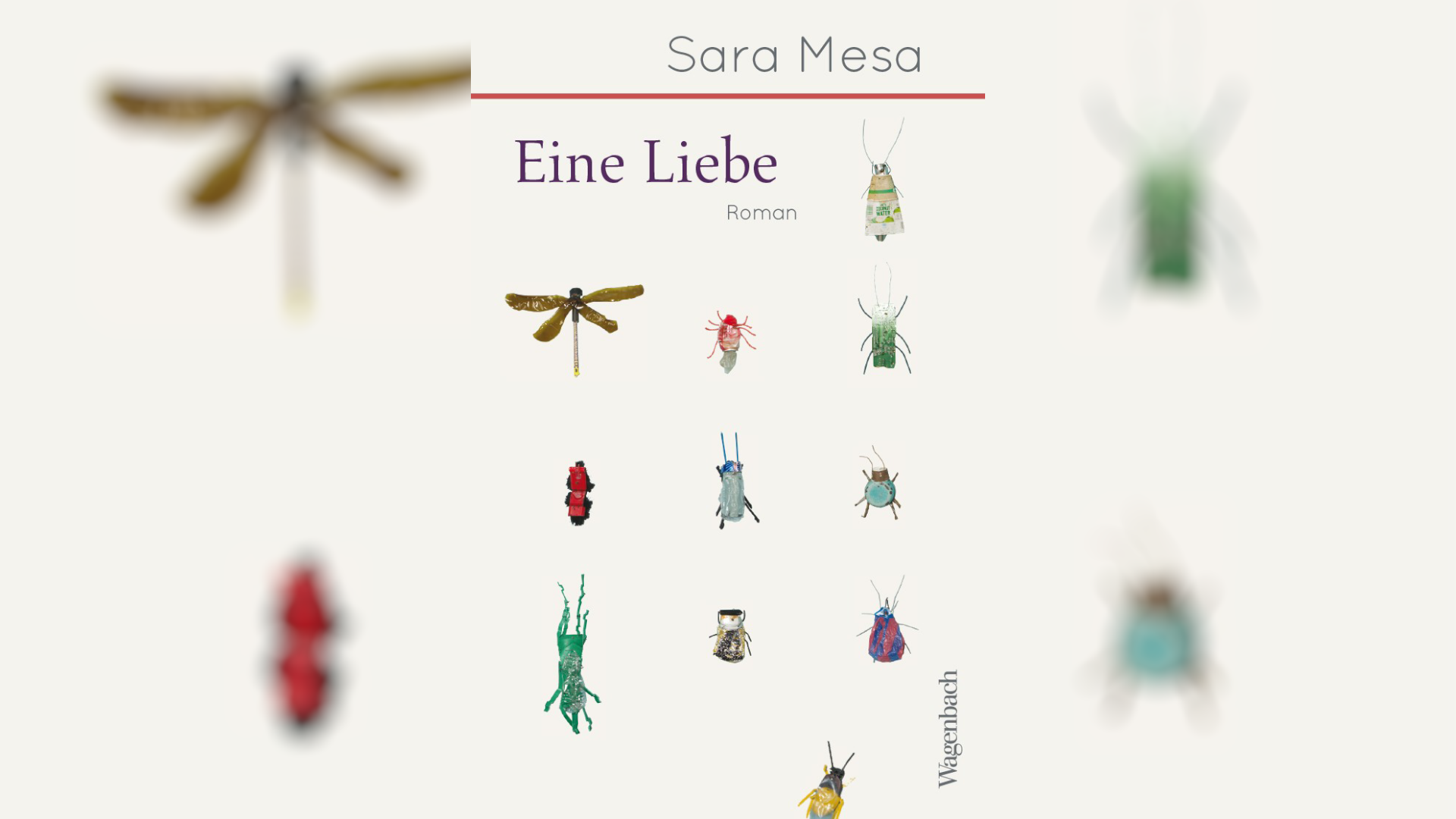 Die 1976 in Sevilla geborene Autorin Sara Mesa ist in Spanien eine vielbepreiste Autorin und ihr Roman „Eine Liebe“ wurde zu einem Bestseller.