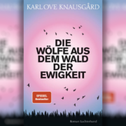 „Die Wölfe aus dem Wald der Ewigkeit“ ist der zweite Band von Knausgårds Morgenstern-Trilogie.