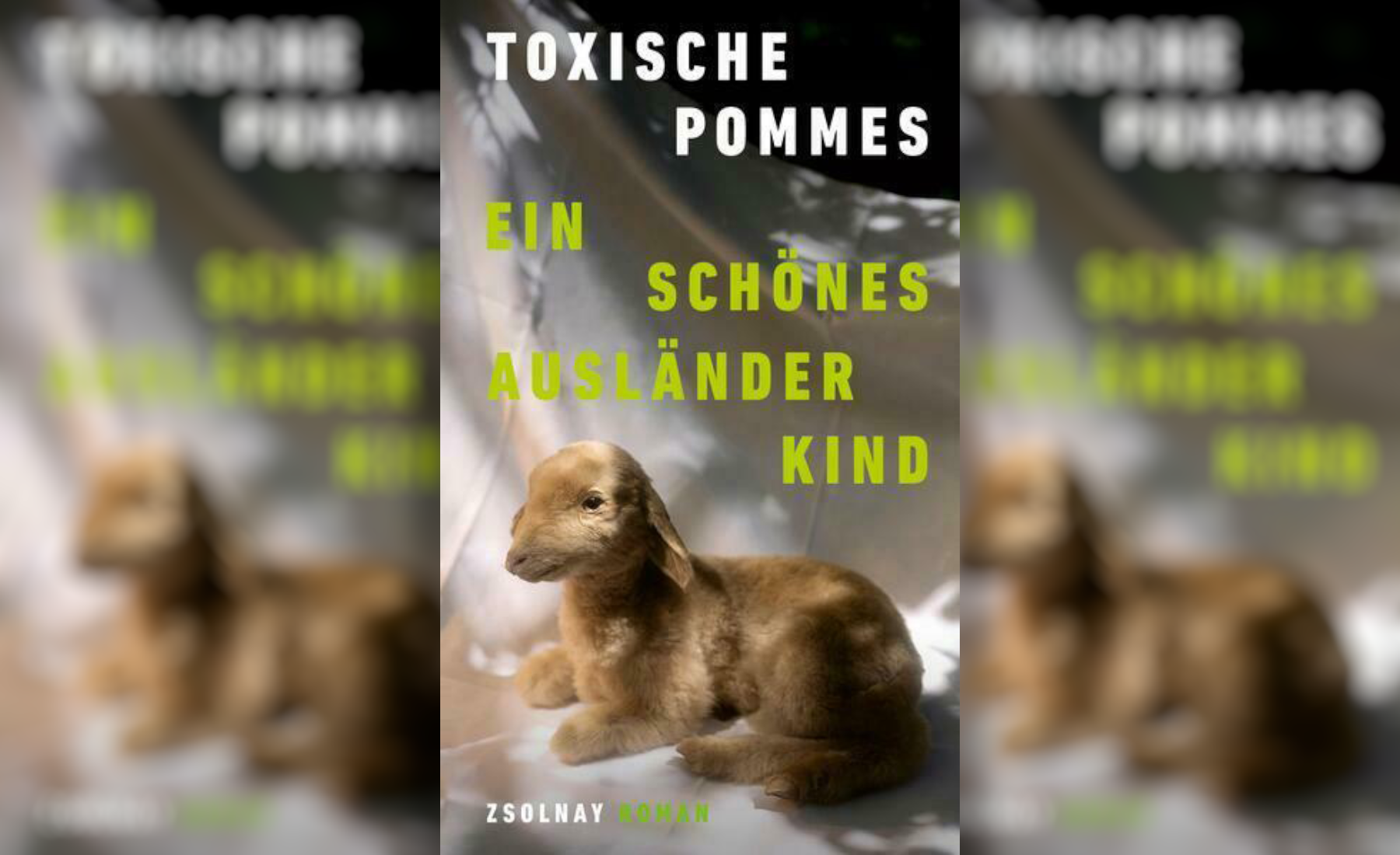 Als Migrantin in Wiener Neustadt – Toxische Pommes und „Ein schönes Ausländerkind“.